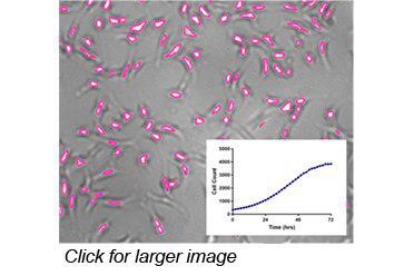 Cytation 3 Cell Imaging Multi Mode Reader